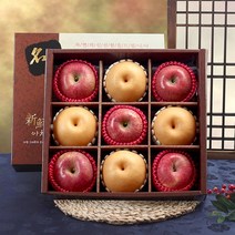 [미식한가] 사각 실속 혼합과일 선물세트 3.7kg내외 (사과5 배4) / 선물세트, 1box