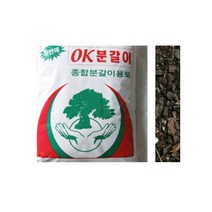 그린플랜트 블루베리 아로니아 식용식물 약용식물 모종 식물 화분, 원예용품_배양토, 1개