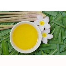 아로마 에션셜 오일 시트로넬라 50ml/천연 천연 디퓨저 캔들/, 씨트로넬라 50ml 1개