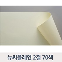 종이문화 뉴씨플레인 120g 2절 낱장 70색, 50_흰색