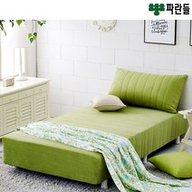 파란들 CL라텍스폼 일체형 단면매트리스 퀸침대, 그린(벨로아)