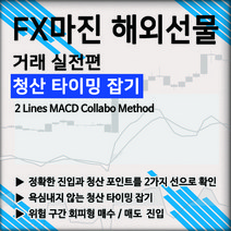 FMB FX마진 해외선물 2 lines 거래법, 에프엠비