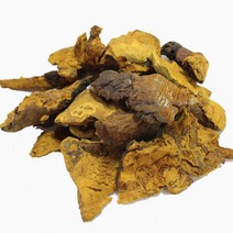 국내산 건조 상황버섯 300g, 1개