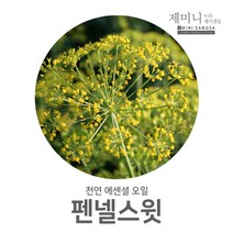 제미니상사 펜넬스윗, 1개, 100ml