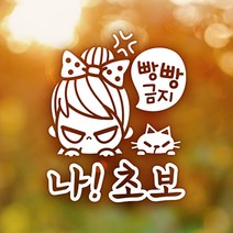 제제데코 초보운전 안전운전 차량 스티커 03, 073_빵빵금지나초보_반사