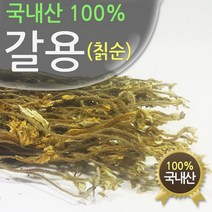 청정지역 국내산 갈용(칡순) 100g, 갈용100g