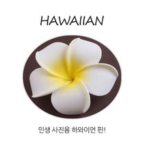 하와이언 핀