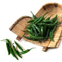 맛있게 매운 청양고추, 청양고추(상) 5kg, 1개