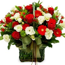 웰컴플라워 꽃바구니 미니꽃바구니, 11 해피바이러스