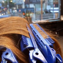 마켓킹 셀프 뿌리볼륨 집게 6개세트, 6개