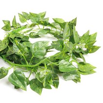 민스토어 담쟁이 넝쿨 2묶음, 호박잎묶음