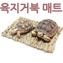 아디펫샵 육지거북 매트 바닥재 짚매트, 색상랜덤, 1개
