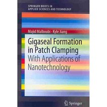 Gigaseal Formation in Patch Clamping: With Applications of Nanotechnology, Springer Verlag