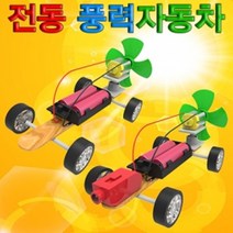 전동 풍력자동차 나무스틱, 일반형 1인용