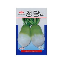 경신종묘 청담무씨앗, 1개
