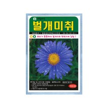 벌개미취씨앗 500립