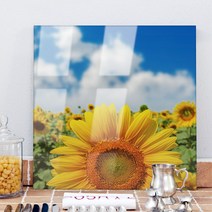 꾸밈 ck208-아크릴액자아크릴액자행복한해바라기 액자, 3.행복한해바라기-활짝핀꽃