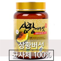 제일바이오텍 상황버섯균사체100% 분말 250g, 1병