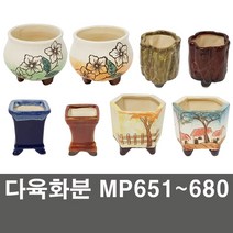 화분백화점 다육화분 미니화분 화분, 제품명