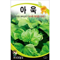 방앗간청년생강
