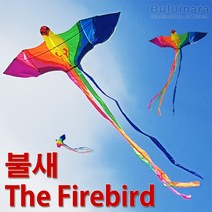 불의나라 불새연 (모양연 대형연 독수리연 가오리연 방패연) 연날리기