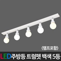 부경조명 LED주방등 LED욕실등 인테리어주방등 LED조명, C-03 트럼펫5등 백색(램프포함) 60W 전구색