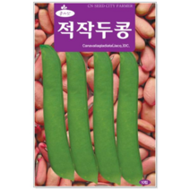청농종묘 자소엽 씨앗 1000립 자소엽씨앗 자소엽씨 차조기 약재, 21_적작두콩(10립)