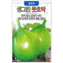 와송 씨앗 5000립 / 와송씨앗 와송씨 신탑 탑송 씨, 12_생그린풋호박(25립)