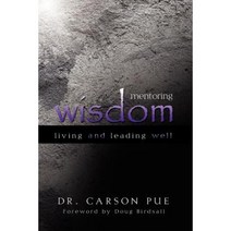Mentoring Wisdom: Living and Leading Well Paperback, Castle Quay Books