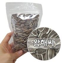 대형 해바라기씨 100g, 1개