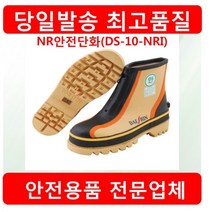 대신 NR안전단화 DS-10-NR II 안전화/작업화