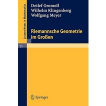Riemannsche Geometrie Im Groen Paperback, Springer