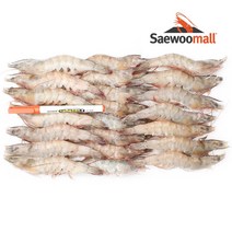 새우몰 화이트 새우 20미, 500g, 1개
