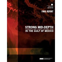 Strong Mid-Depth Currents and a Deep Cyclonic Gyre in the Gulf of Mexico Paperback, Createspace