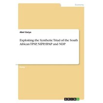 Exploiting the Synthetic Triad of the South African Tpsp Nipp/Ipap and Ndp Paperback, Grin Publishing