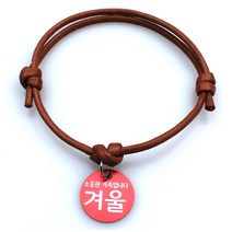 강아지 고양이 인식표, 캐러멜, 1개