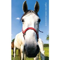 Agenda Delle Password: Agenda Degli Indirizzi Web E Delle Password Di Accesso - Copertina Cavallo Curi..., Createspace Independent Publishing Platform