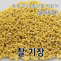2022년 국산 찰기장 기장쌀 기장 쌀아지매, 1개, 500g