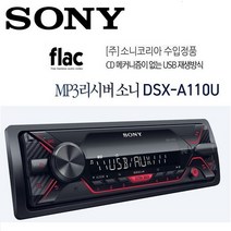 소니 DSX-A410BT 카오디오 블루투스 USB 옥스 차량용 오디오 SONY 정품
