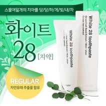 화이트28 치약, 180g, 1개