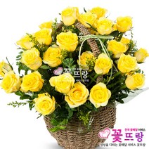 골든레이디꽃바구니 생일/기념일/프로포즈/축하꽃배달