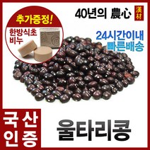 울타리콩, 300g, 1개