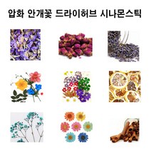 허브인] 드라이허브 or 압화모음, 압화레인보우마가렛