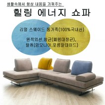 드림라파 생활속에서 내몸을 바꿔주는 천연통가죽 힐링에너지소파 소파