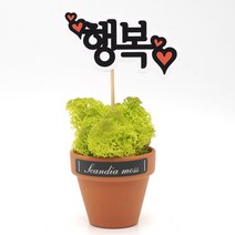 스칸디아모스 천연이끼 공기정화 메세지픽 독일토분, 행복 독일토분 모스-스프링그린