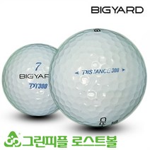 빅야드 DT 300 3피스 B+급 로스트볼 16개