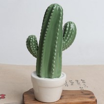 용신목 선인장