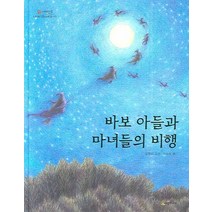 바보 아들과 마녀들의 비행, 시공주니어