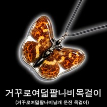 나비표본목걸이/거꾸로여덟팔나비표본악세사리