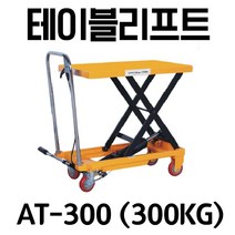 아수 테이블리프트 300kg 경제형